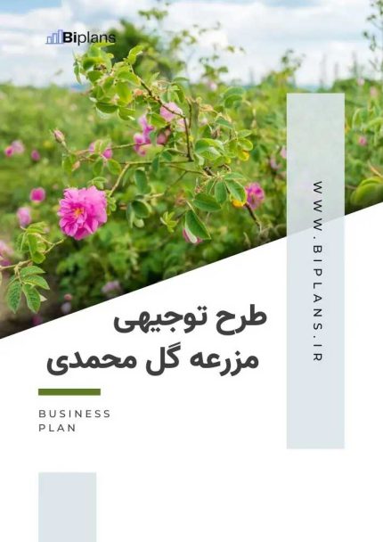 طرح توجیهی احداث مزرعه گل محمدی