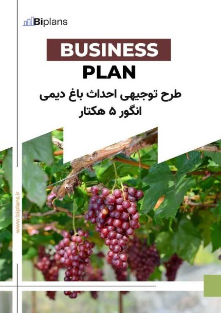 طرح توجیهی احداث باغ دیمی انگور ۵ هکتار