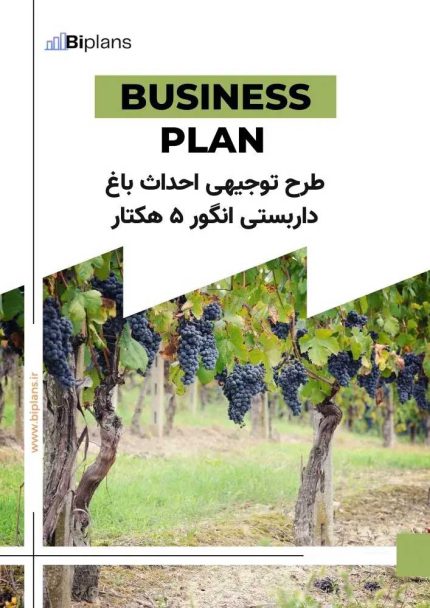 طرح توجیهی احداث باغ داربستی انگور ۵ هکتار