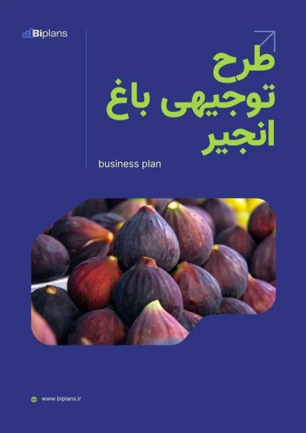 طرح توجیهی باغ انجیر