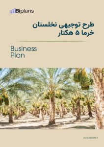 طرح توجیهی نخلستان خرما ۵ هکتار