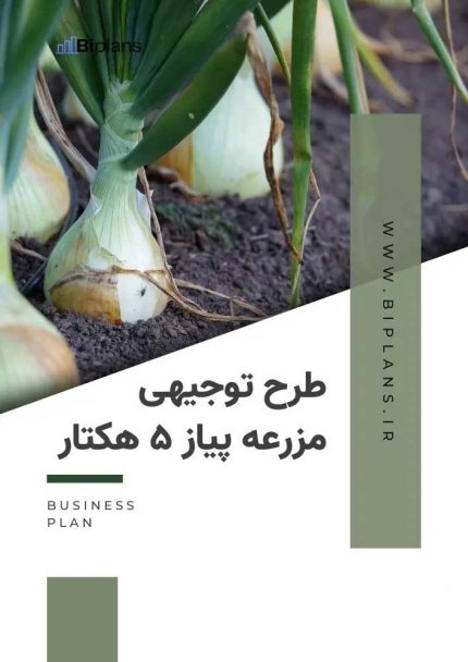 طرح توجیهی مزرعه پیاز ۵ هکتار