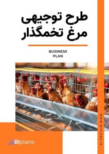 طرح توجیهی مرغ تخمگذار