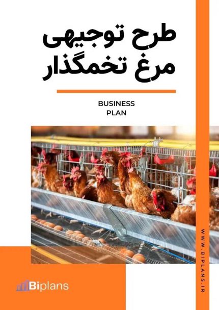 طرح توجیهی مرغ تخمگذار