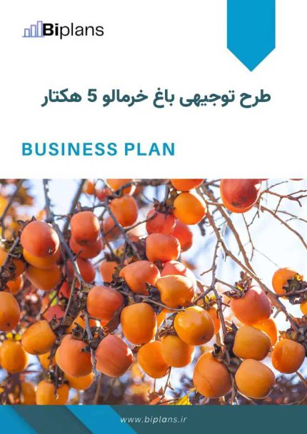 طرح توجیهی باغ خرمالو ۵ هکتار