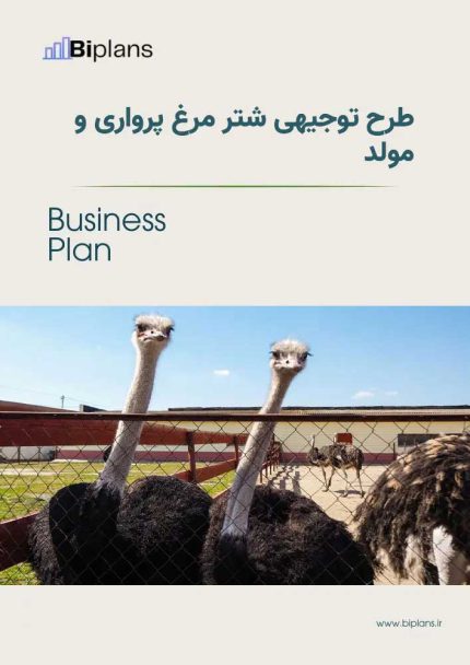 طرح توجیهی پرورش شتر ۵۰ نفر (آپدیت بهار ۱۴۰۳)