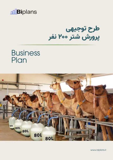 طرح توجیهی پرورش شتر پرواری 200 نفر