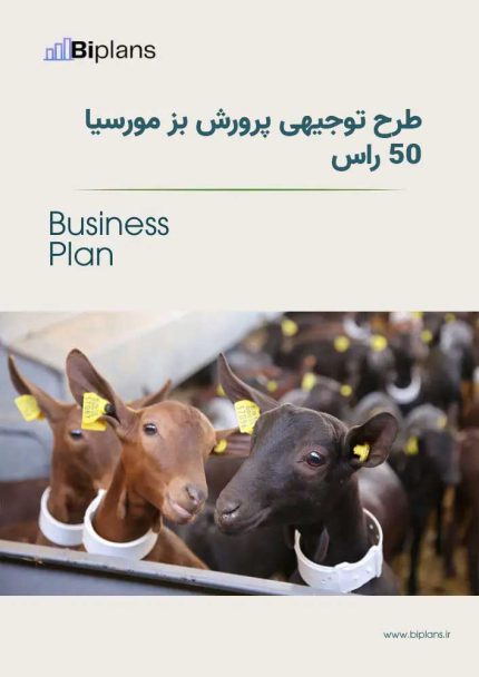 طرح توجیهی پرورش بز مورسیا ۵۰ راس