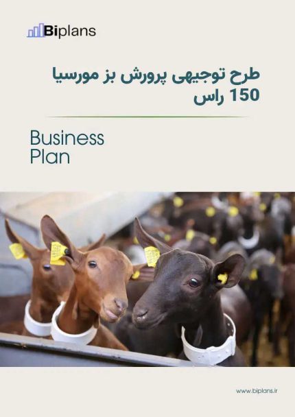 طرح توجیهی پرورش بز مورسیا ۱۵۰ راس